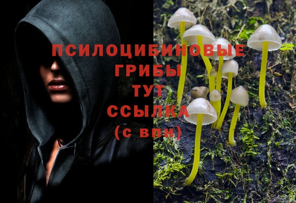 мяу мяу мука Абинск