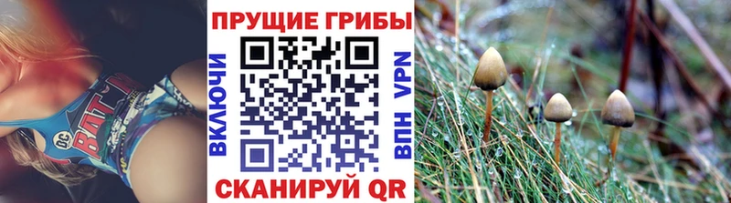 Галлюциногенные грибы GOLDEN TEACHER  ОМГ ОМГ зеркало  Кинешма 